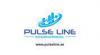 شركة PULSE LINE INTERNATIONAL REAL ESTATE LLC فى   