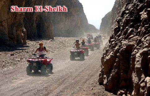 شقة للإيجار فى جنوب سيناء