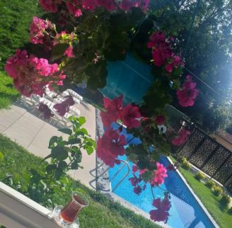 فيلا للإيجار فى قوجه إيلي