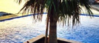 Apartment For Rent In Muharraq