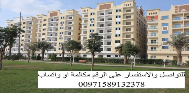 شقة للبيع فى الحميدية - عجمان - عجمان