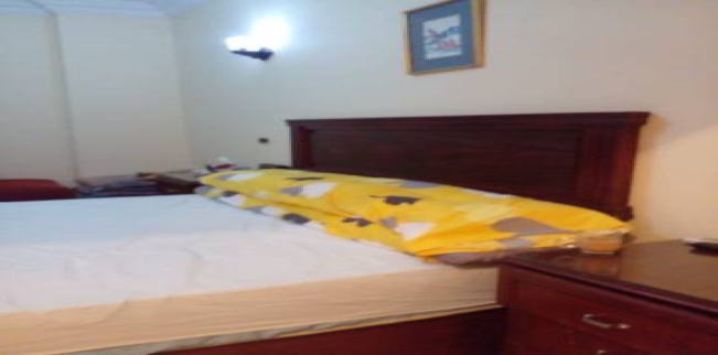 Duplex For Rent In Giza