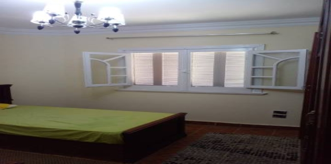 Duplex For Rent In Giza