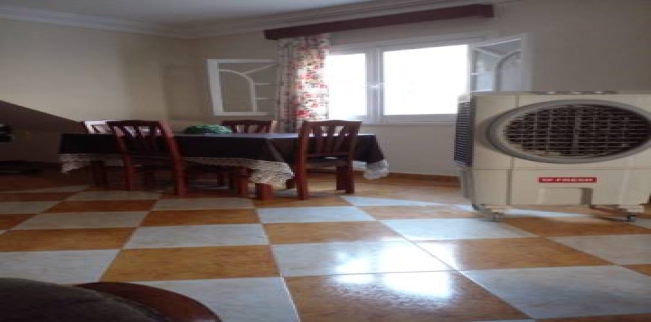 Duplex For Rent In Giza