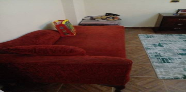 Duplex For Rent In Giza