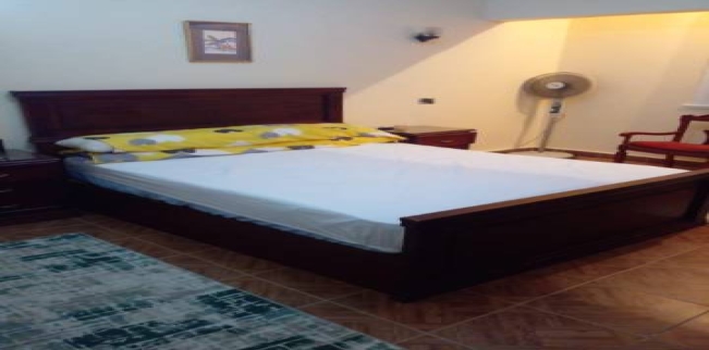Duplex For Rent In Giza